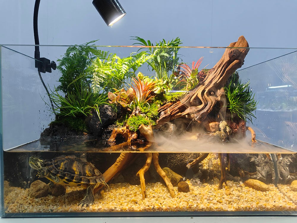 Choose the right aquarium