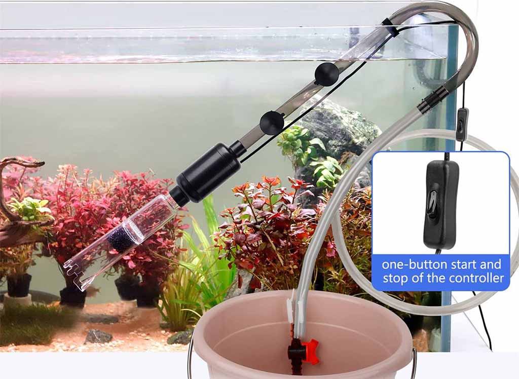 Change Water in Your Aquarium