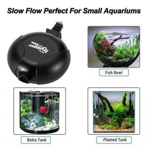 Setup Air Pump Above Water Surface