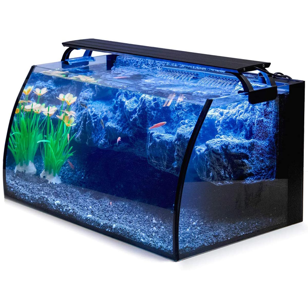 8 Gallon Betta Horizon Fish Tank for Starters - hygger