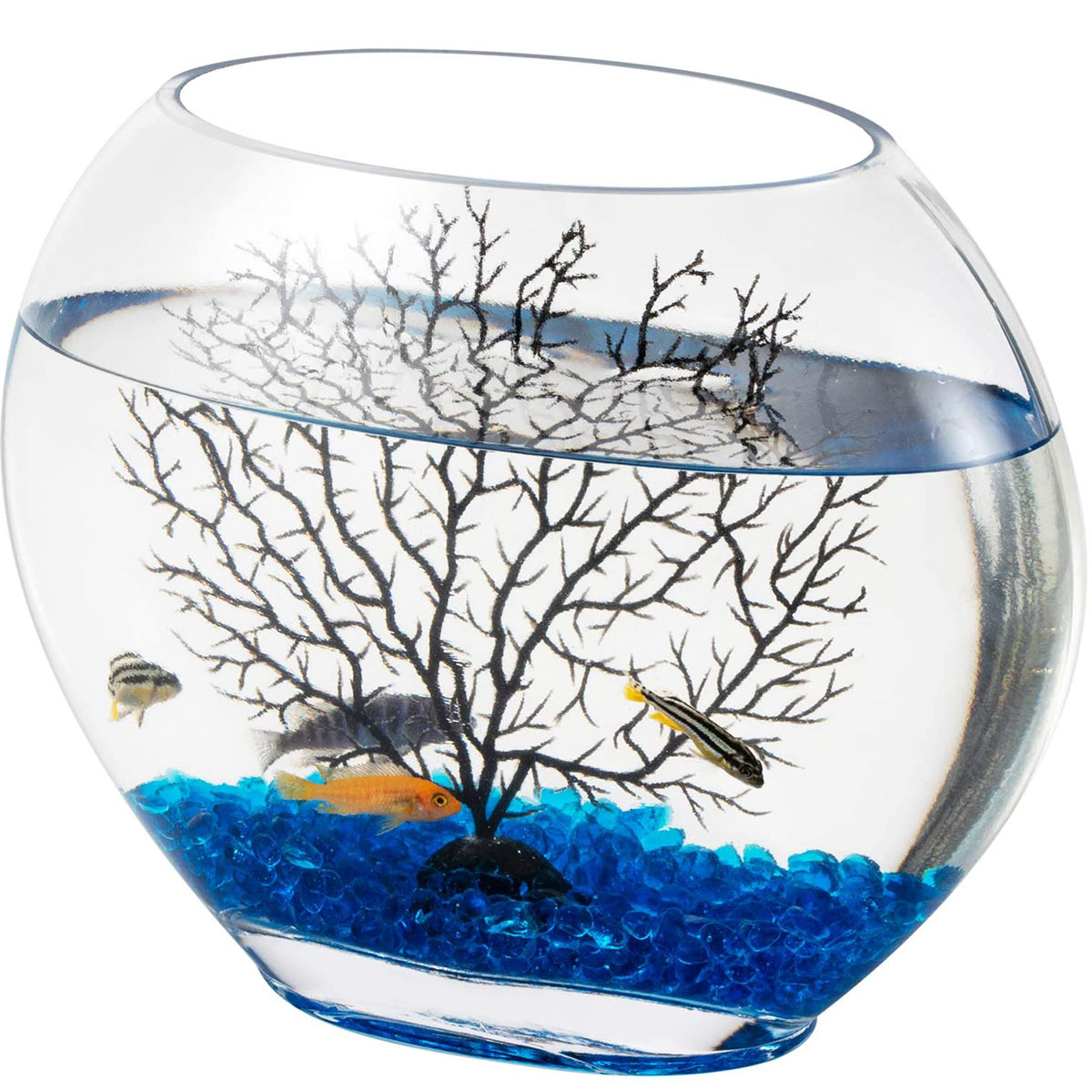 https://www.hygger-online.com/wp-content/uploads/2021/06/Hygger-Mini-Glass-Oblate-Fish-Bowl-1-1.jpg