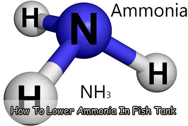 How To Lower Ammonia In Fish Tank