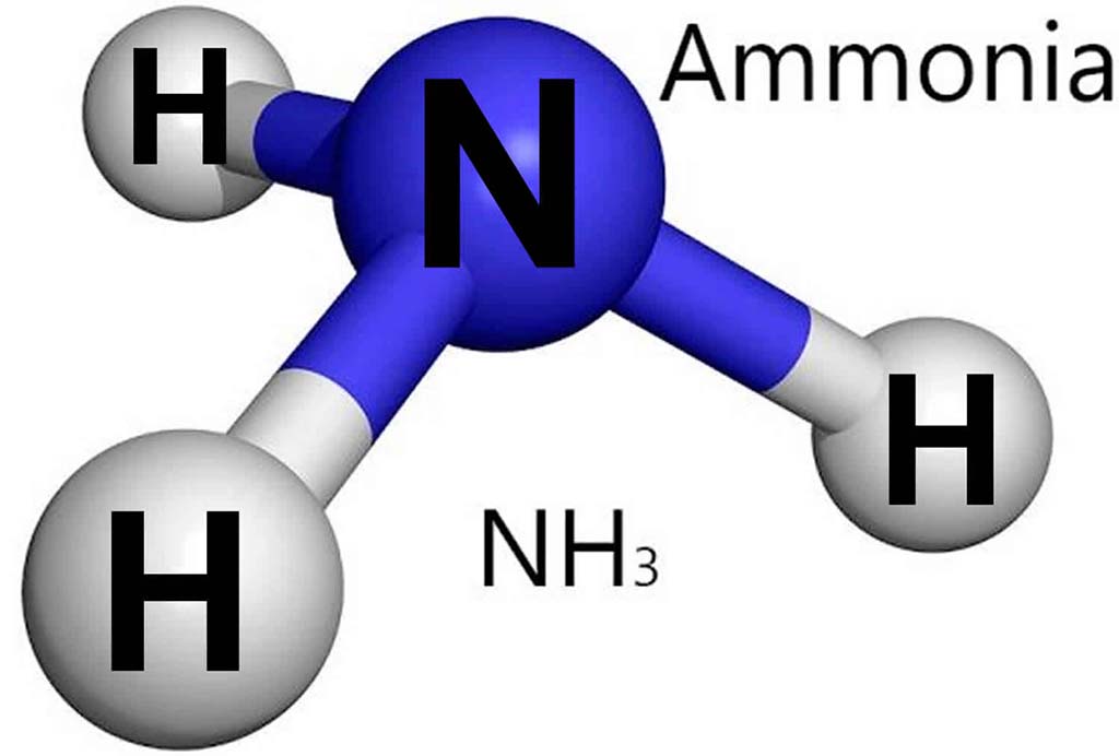 Lower Ammonia in fish tank