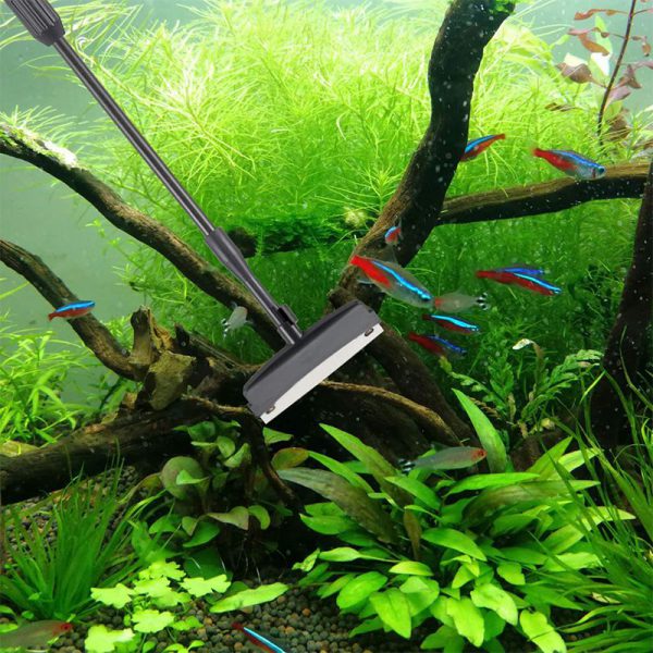 Aquarium Cleaner Tool Kit Using Scenes