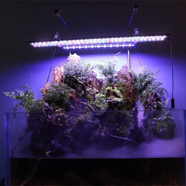 LED Fish Tank Lights for Tanks