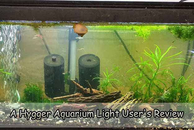 A Hygger Aquarium Light User’s Review