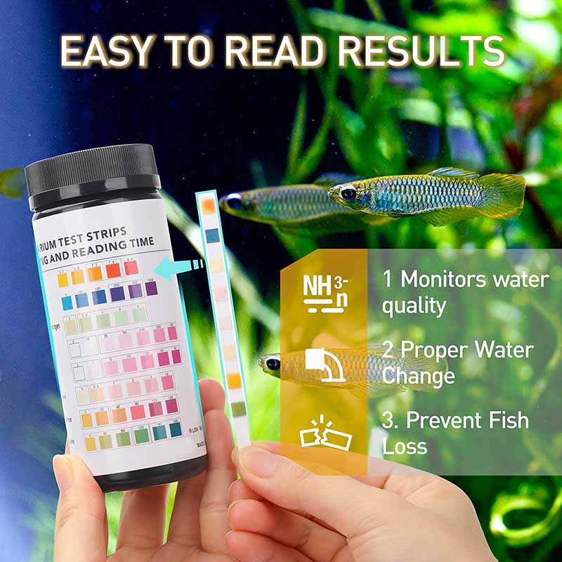 Beginner's Guide to Aquarium Water Test Kits & which is best