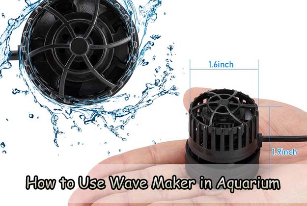 How to Use Wave Maker in Aquarium