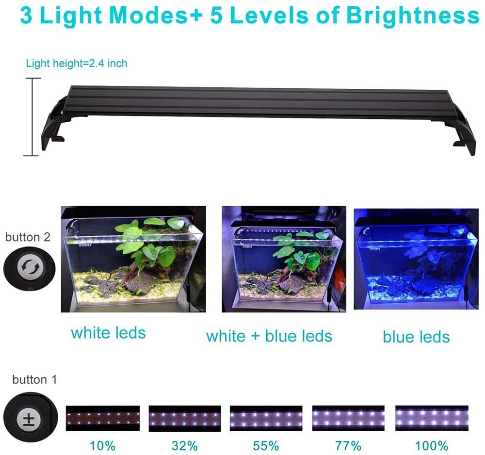 Aquarium Lighting level