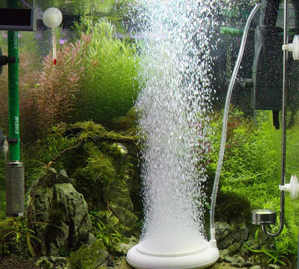 The best Aquarium Air Stone