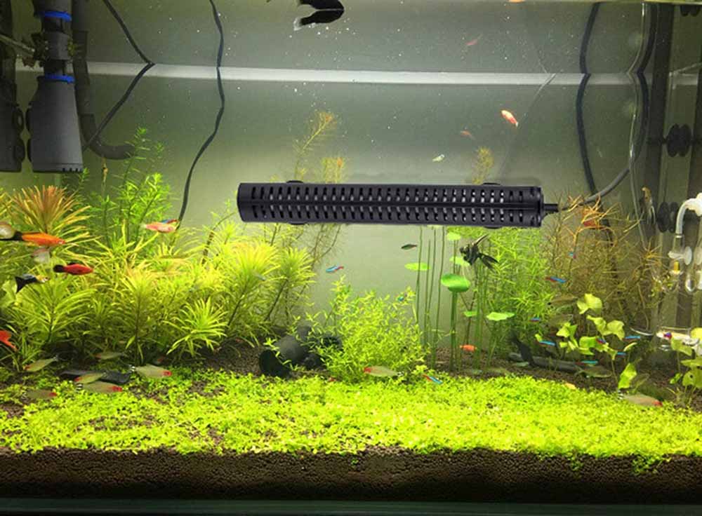 How to heat fish tank