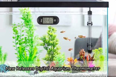 New Releases Digital Aquarium Thermometer with New Features