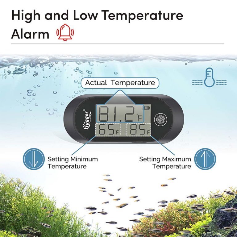 Temperature alarm for fish tank