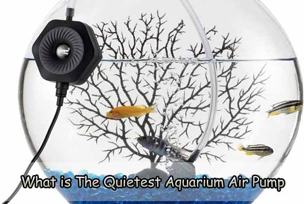 What is The Quietest Aquarium Air Pump