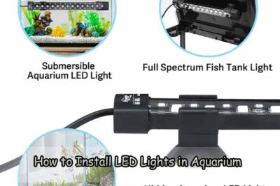 How to Install LED Lights in Aquarium