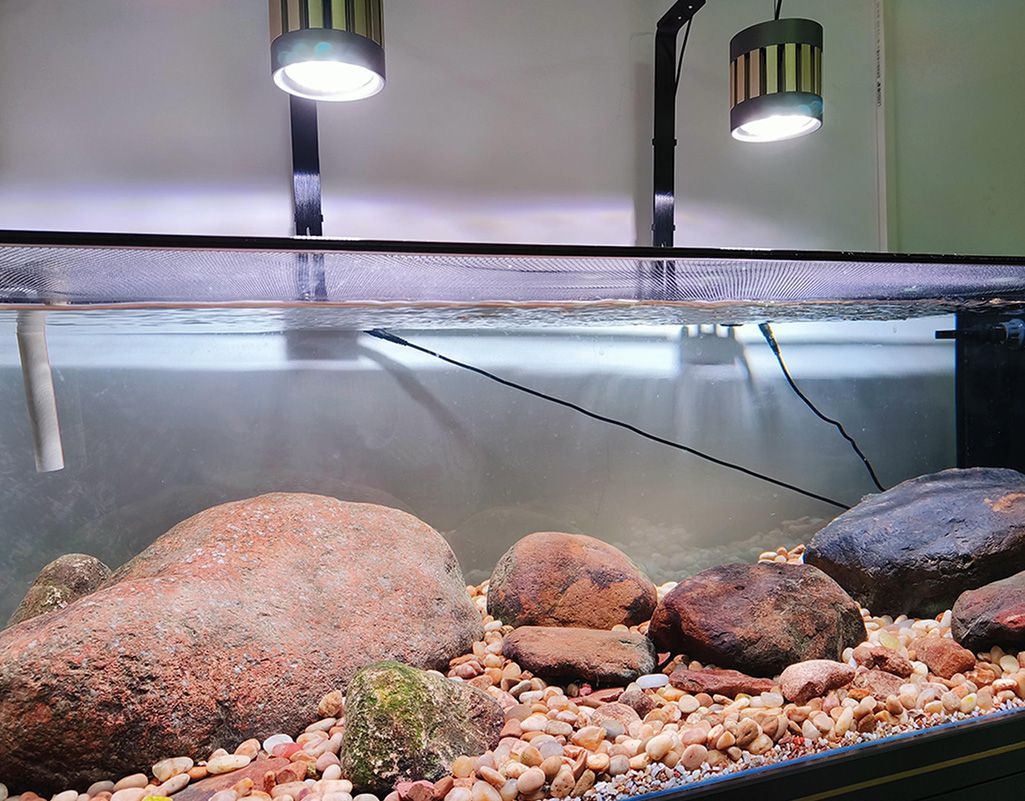 Install light in aquariums