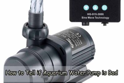 How to Tell if Aquarium Water Pump is Bad