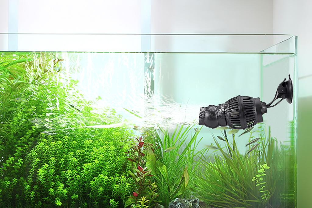 Saltwater vs. Freshwater Aquariums: What's the Difference - Fish Tanks  Direct