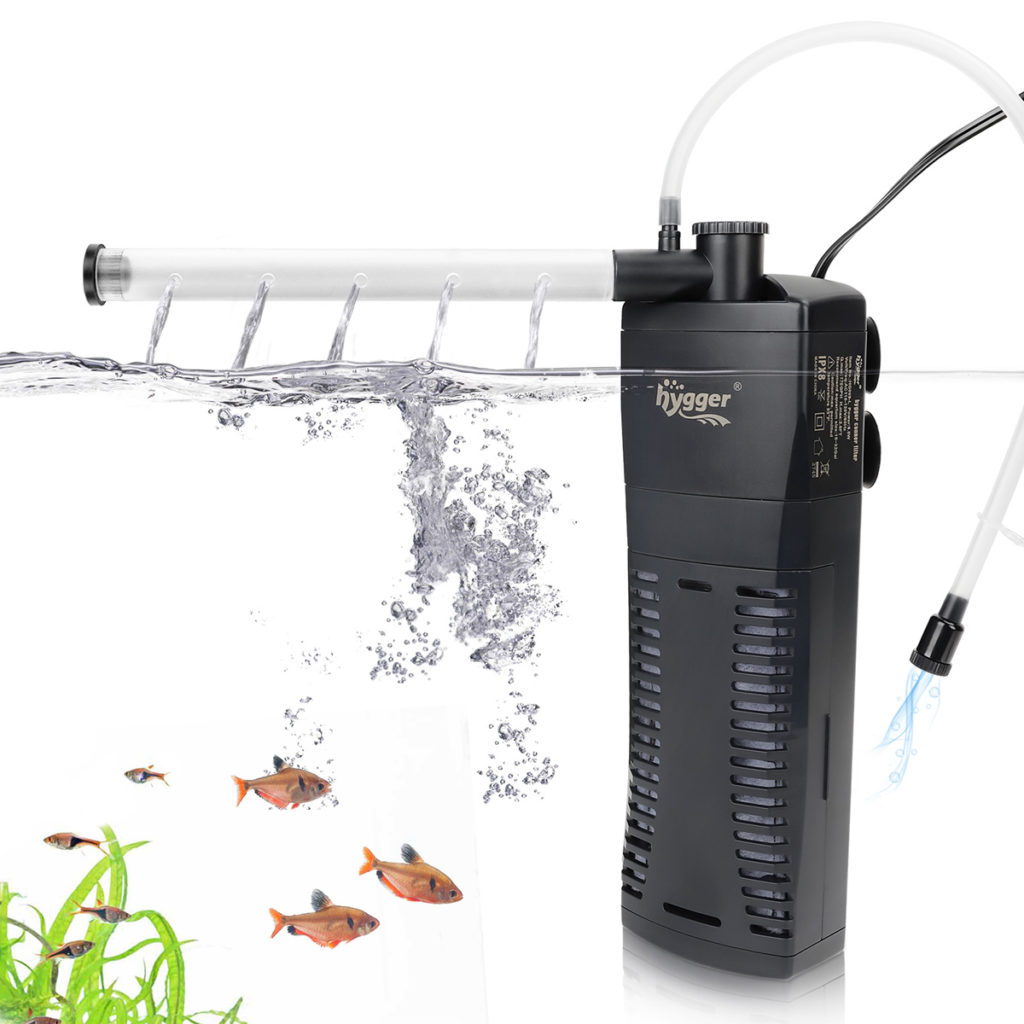 Fish Can Live Without an Air Pump in Tank - hygger