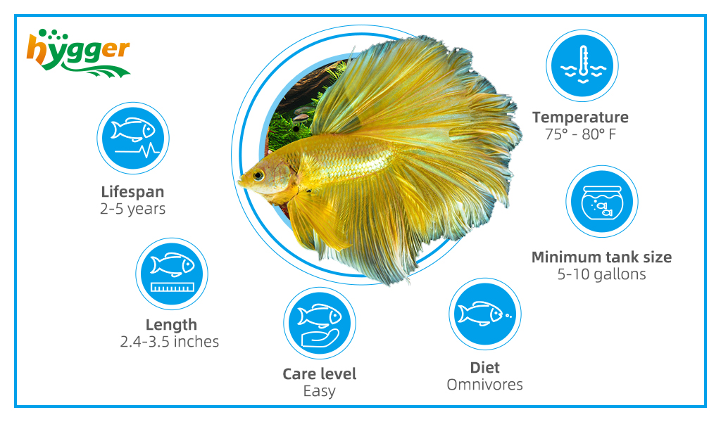What Aquatic Plants do Freshwater Fish not Eat - Hygger