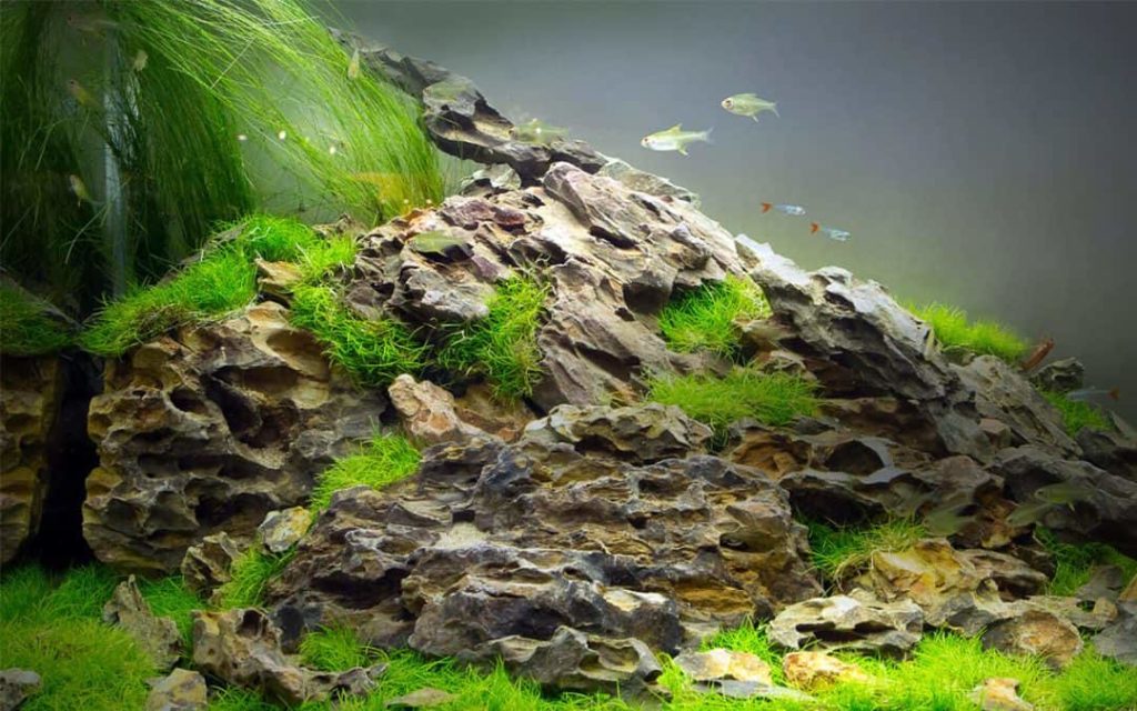 Aquarium Rocks: Safe and Unsafe Rocks to Put in Fish Tanks - PetHelpful