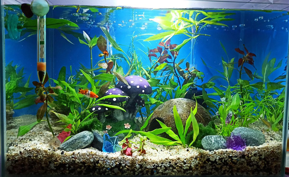 14 Pack Aquarium Aquatic Fish Tank Decorations Decor Set with Wood Cave,  Tree Trunk Barrel Hideouts, Artificial Plastic Plants and Starfish Resin