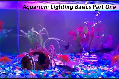 180-LEDs White & Blue LED Light Full Spectrum Aquarium Fish Tank Light  45-50