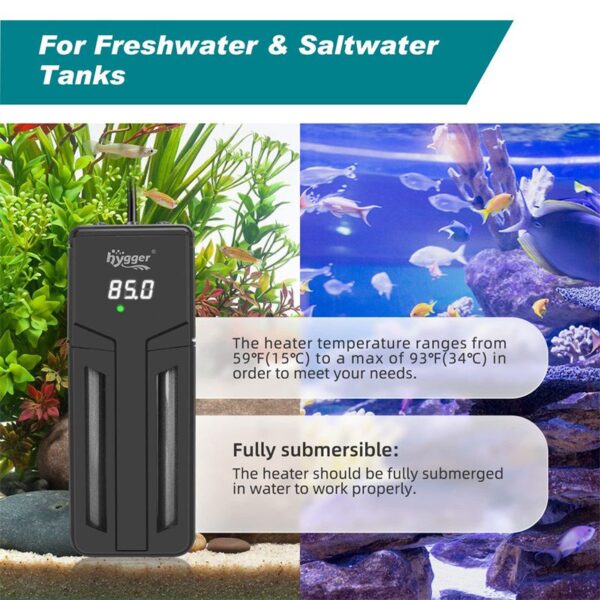 Fully submersible heater for saltwater and freshwater