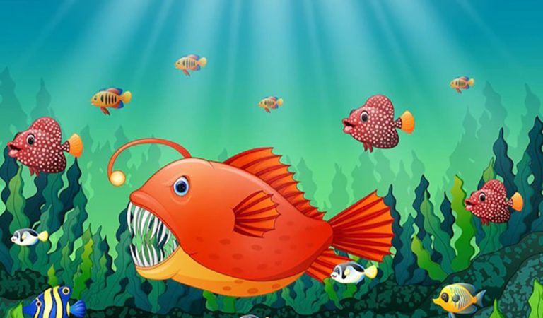 Angler Fish – A Fish With A Light - hygger