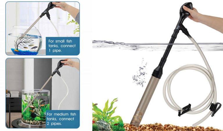 how-to-clean-sand-in-a-heavily-planted-aquarium-hygger