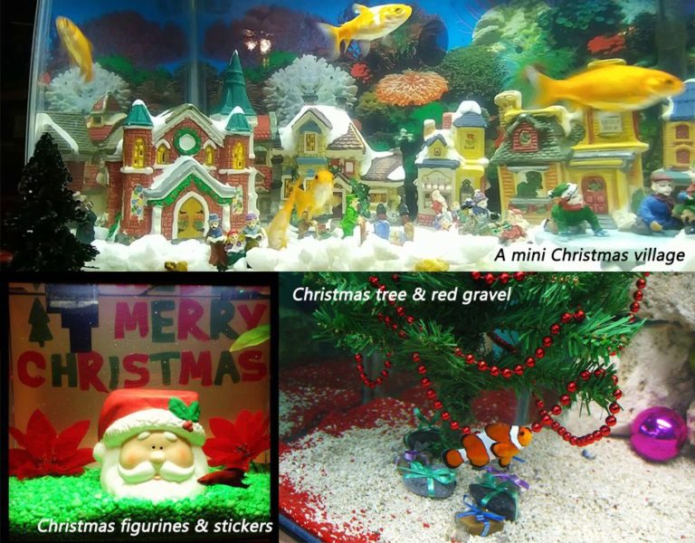 How to Make a Christmas Fish Tank Idea hygger