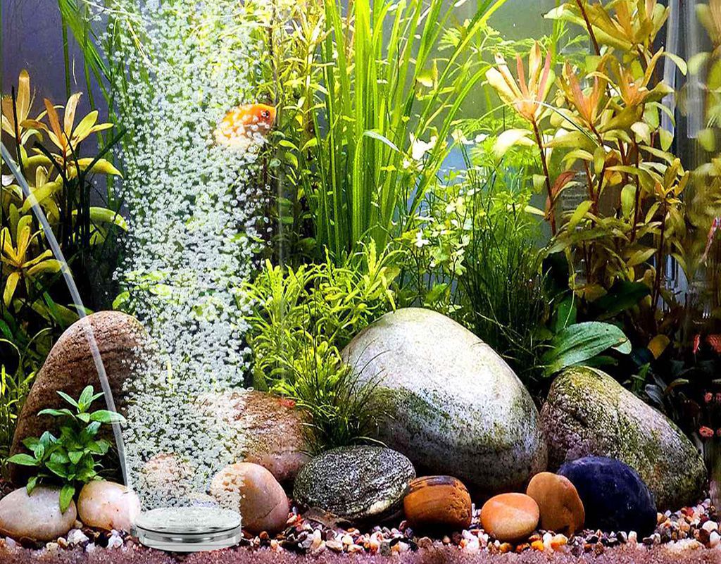 What Are The Pros And Cons Of Using Aquarium Air Stone