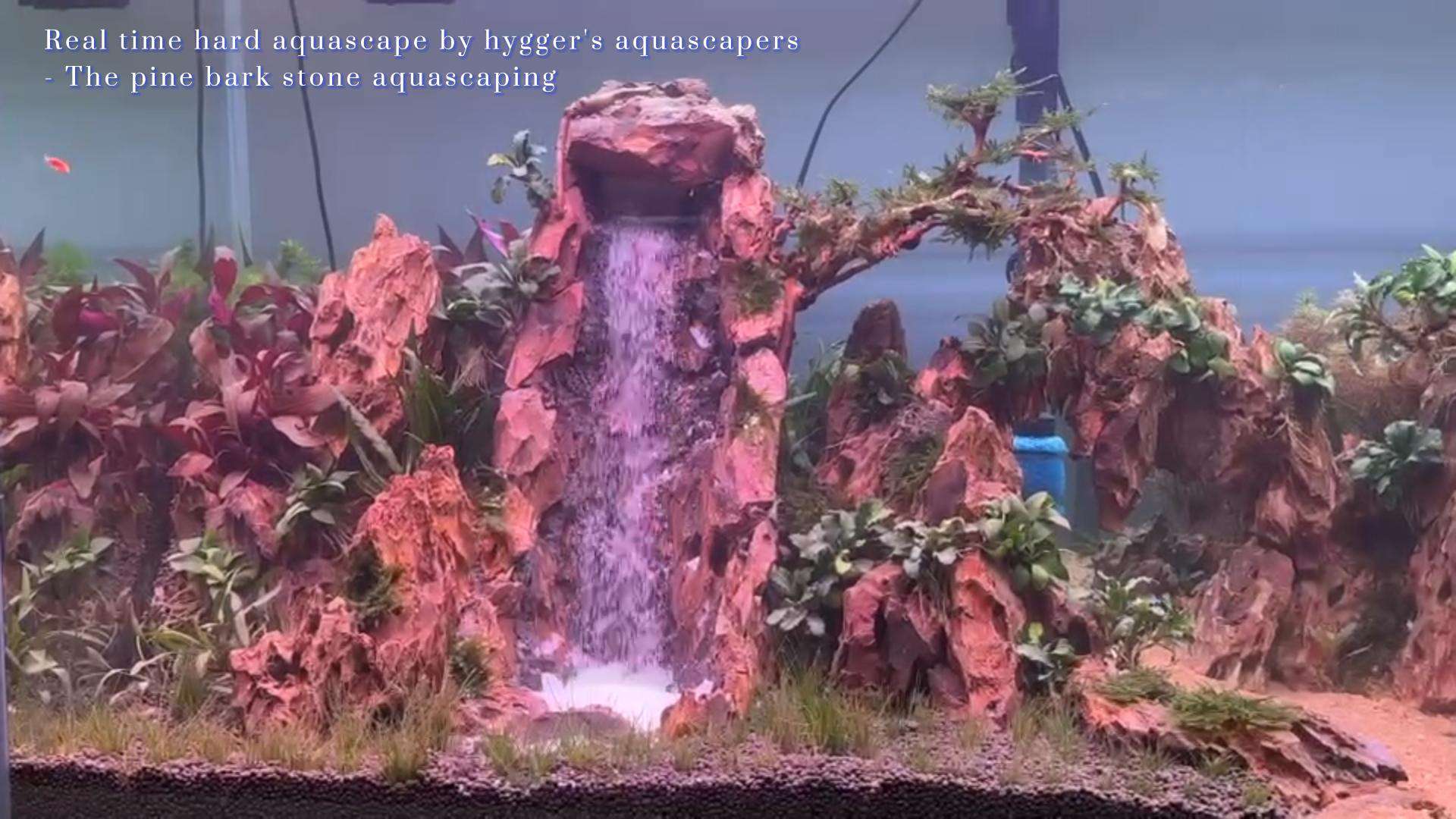 Pine Bark Stone Waterfall Aquascaping