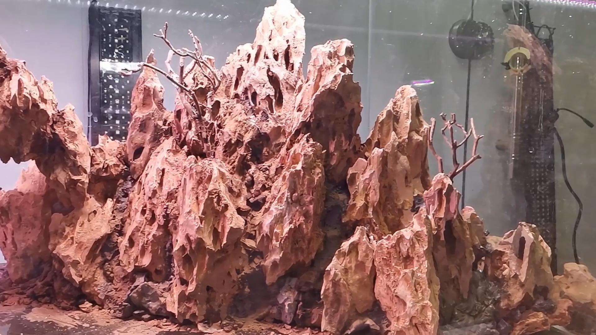 Pine Bark Stone Aquascaping