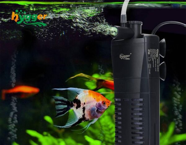 How Often to Change Fish Tank Filter - hygger