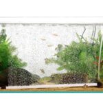 hygger Aquarium Aeration Strip Kit