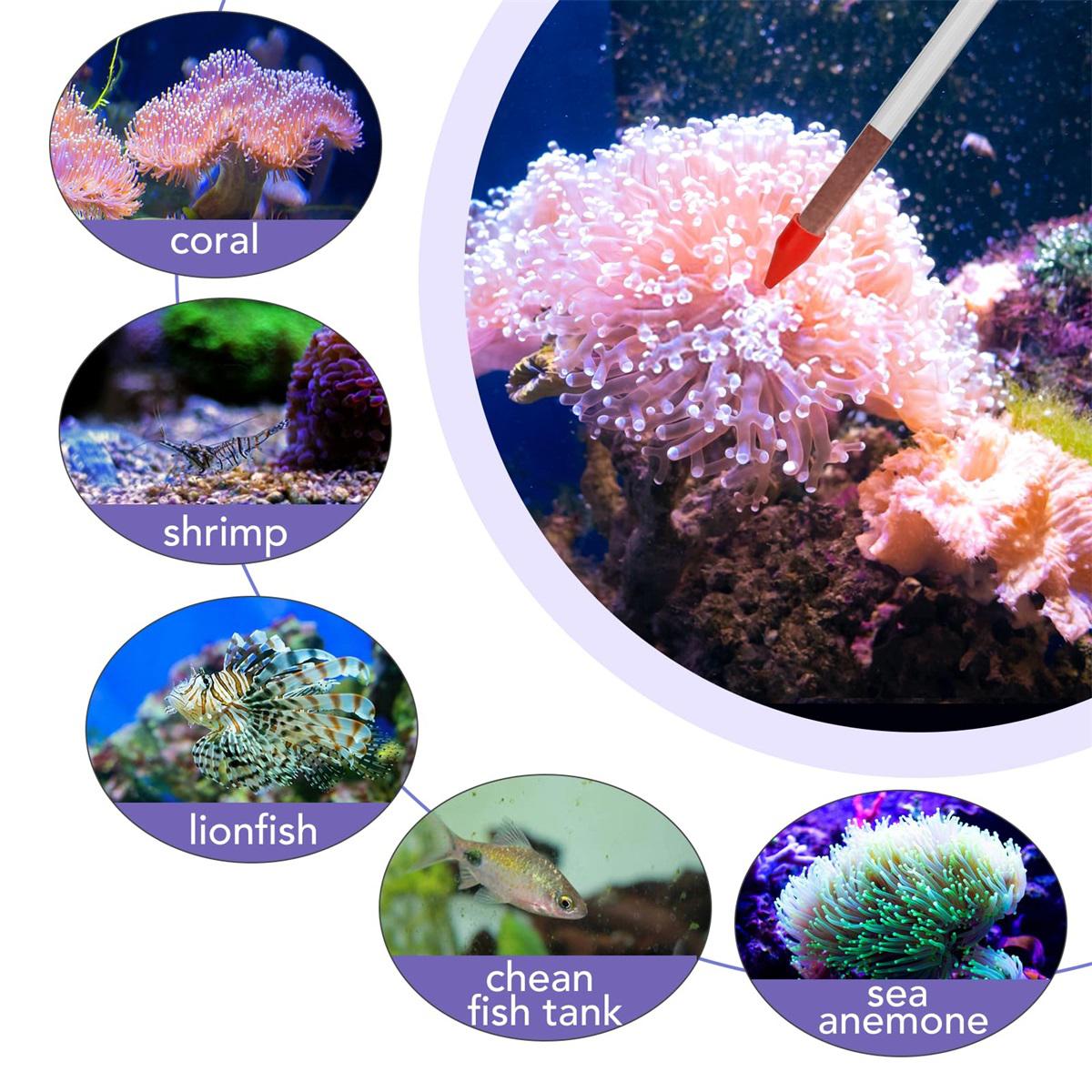  Hygger Aquarium Siphon Coral Feeder Kit, Gravel Vacuum For  Aquarium, Water Changer Fish Tank Cleaning Tools, Mini Vacuum Cleaner