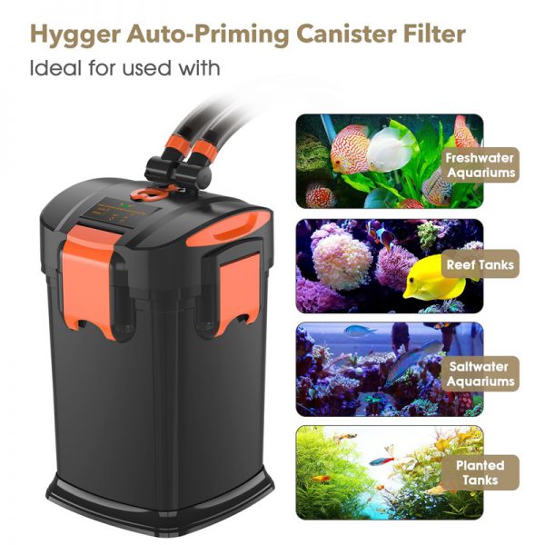 Intelligent canister filter for saltwater tanks