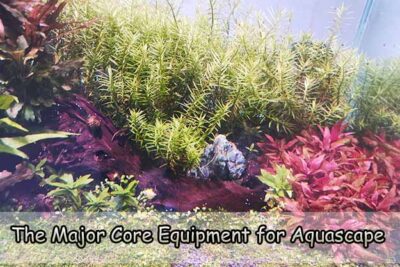The Major Core Equipment for Aquascape