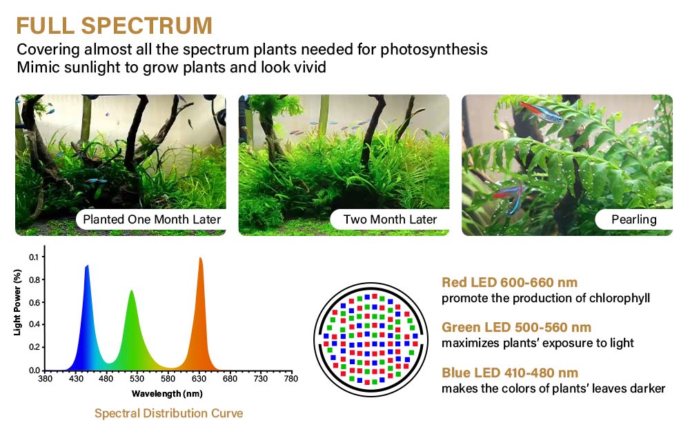 Full spectrum hygger plant light