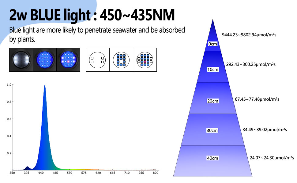 Blue light for coral tank