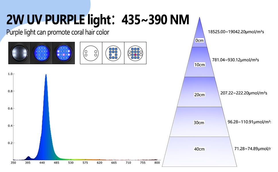 Purple lighting for coral