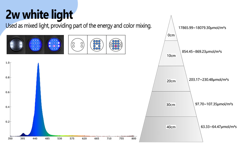 White light of marine light