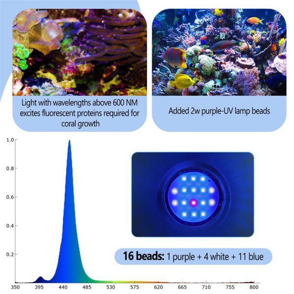 Lighting for coral growth