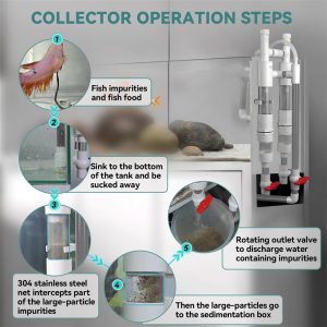 Steps to collect fish waste