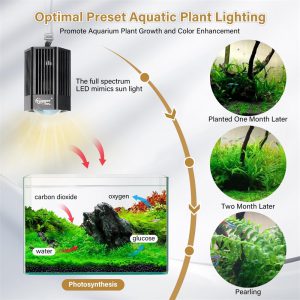 Aquatic plant lighting