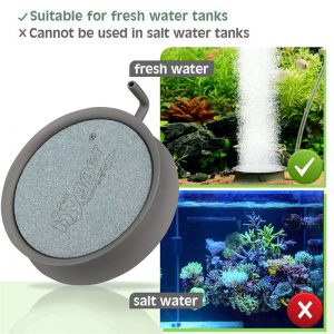 Freshwater fish tank bubbler