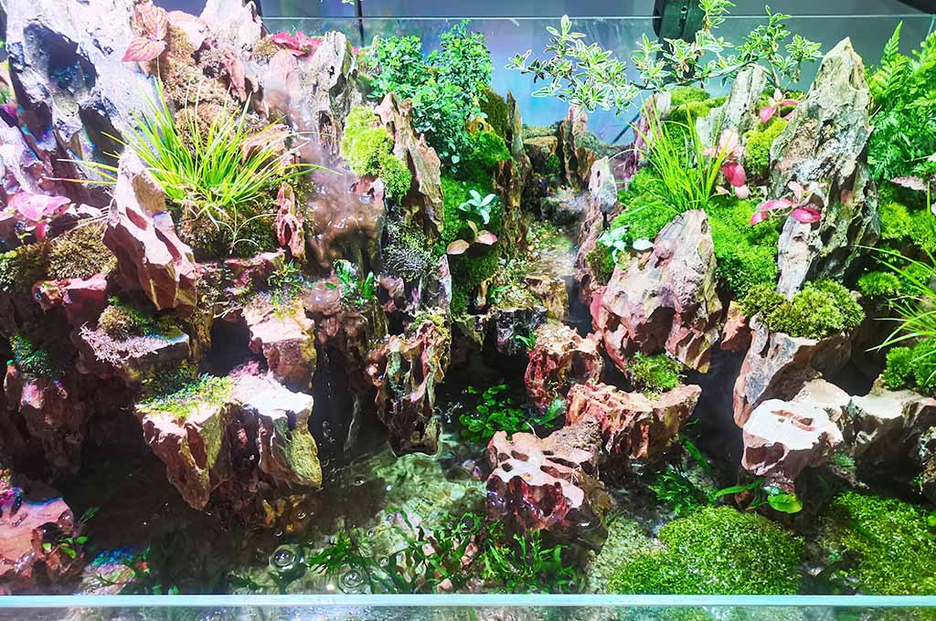 Paludarium tank maintenance