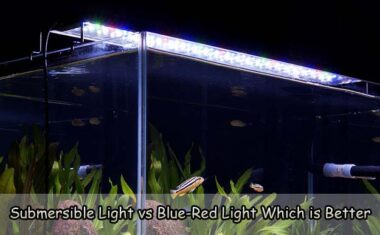Submersible Light vs Blue-Red Light Which is Better