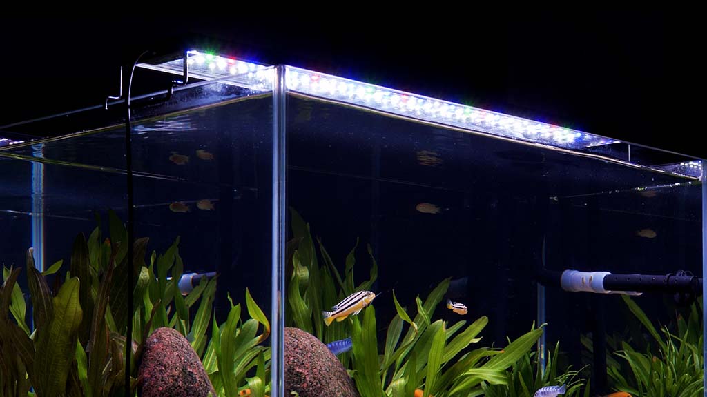 aquarium lights for fish